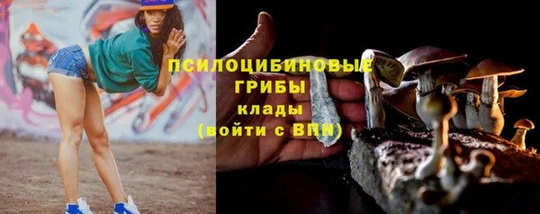 прущие крисы Верея