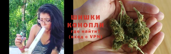 прущие крисы Верея