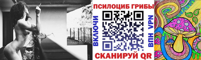 Галлюциногенные грибы Psilocybine cubensis  закладка  Новосиль 