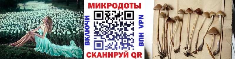 Псилоцибиновые грибы прущие грибы Новосиль